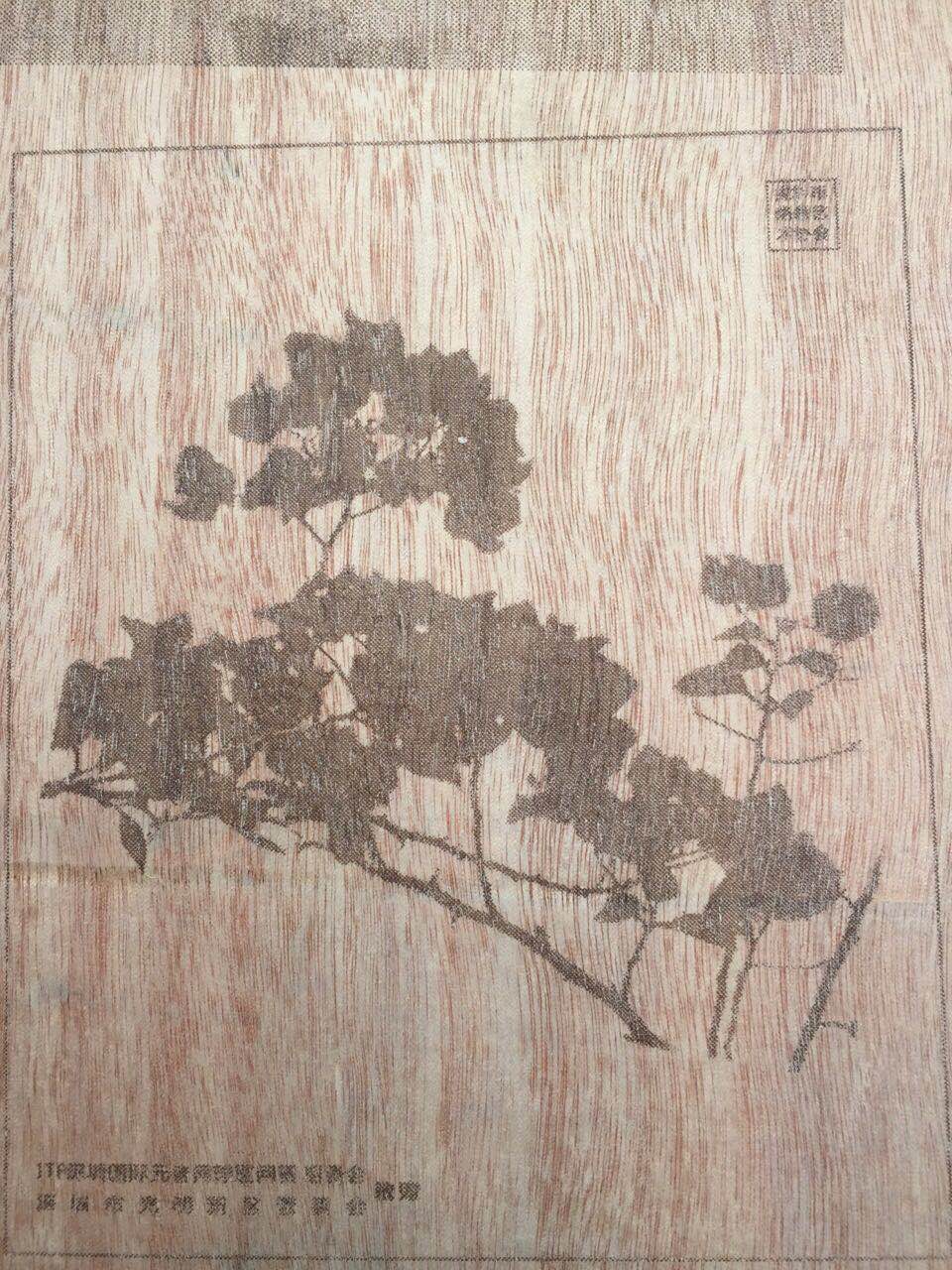 是喜是憂總統(tǒng)特朗普被彈劾是一件好事嗎？