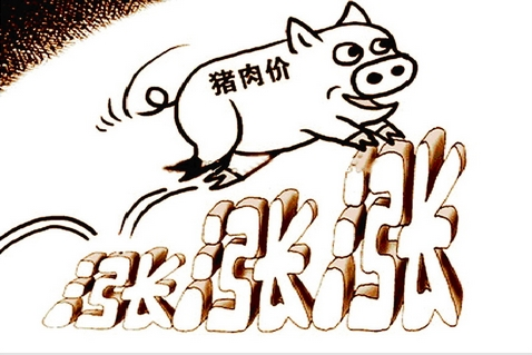 2019年豬氣沖天，價(jià)格還會(huì)一直漲下去嗎？